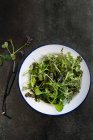 Varie foglie di insalata con crescione — Foto stock