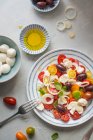 Mozzarella and tomato salad with olives, onion, basil and olive oil — Stock Photo