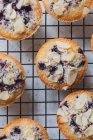 Muffin fatti in casa con frutta fresca e bacche — Foto stock