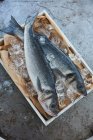 Two fresh fish on ice in a wooden crate (top view) — Stock Photo