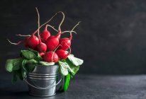 Radishes in a small metal bucket on dark background — Stock Photo