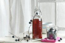 Blackthorn syrup in a bottle, blackthorn fruits in a storage jar and a blackthorn branch and label — Stock Photo