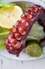 An octopus tentacle (close-up) — Stock Photo