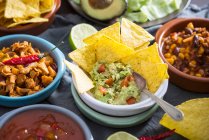 Веганские мексиканские блюда: гуакамоле с чипсами, сальса, выдернутые джекфруты, чили с карне — стоковое фото