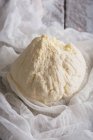 Ricotta fromage vue rapprochée — Photo de stock
