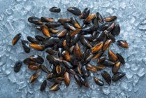 Close-up shot of delicious Fresh mussels, view from above — Stock Photo