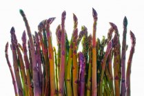 Varie lance di asparagi su uno sfondo bianco — Foto stock