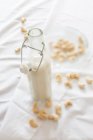 Домашнее веганское кешью молоко в стеклянной бутылке — стоковое фото