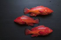 Fresh strawberry groupers on a black background — Stock Photo