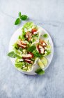 Lettuce boat filled with chicken breast, cucumber, avocado, feta and herbs — Stock Photo
