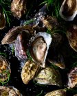 Frische Austern mit Miesmuscheln und Petersilie-Meeresfrüchten — Stockfoto