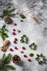 Christmas still - cranberries and cookie cutters — Stock Photo