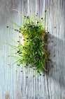 Thym vert frais dans un pot en bois sur un fond de mur blanc — Photo de stock