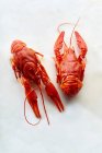 Raw red crayfish on white background — Stock Photo