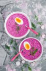 Kalte Suppe mit Kefir, Joghurt, saurer Sahne und Rübenwurzel, serviert mit gekochtem Ei — Stockfoto
