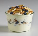Yogur griego con arándanos, plátanos, miel y granola - foto de stock