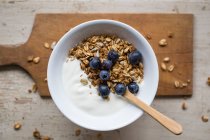 Yogurt with Muesli and Blueberries for Breakfast — стокове фото