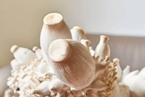 Крупный план вкусных свежих королевских трубных грибов — стоковое фото