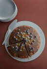 Pastel de chocolate con arándanos y ralladura de naranja - foto de stock