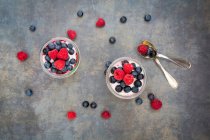 Yogurt greco con gelatina di frutta e lamponi freschi e mirtilli — Foto stock