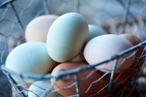 Huevos frescos de granja en canasta de alambre, tiro de cerca - foto de stock