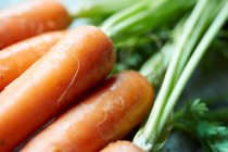 Zanahorias frescas con tallos verdes, tiro de cerca - foto de stock