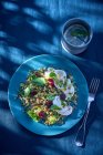 Салат из болгура с клюквой и грибами — стоковое фото