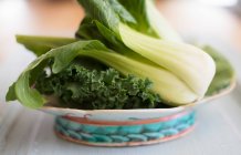 Bok Choy und Grünkohl in einer Keramikschüssel — Stockfoto