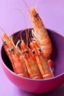 Crevettes dans un bol violet — Photo de stock