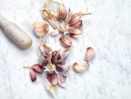 Garlic and cloves on a white background. — Stock Photo