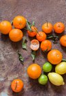Асорті цитрусових фруктів, крупним планом — стокове фото