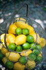 Lemons and limes in a wire basket — Stock Photo