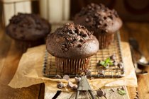 Duplo muffins de chocolate vista close-up — Fotografia de Stock