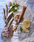 Mackerel rillette on an Opinel knife, with wholegrain bread, fresh mackerel, and lemon wedges — Stock Photo