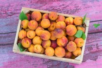 Apricots in wooden crate with green leaves on purple wooden surface — Stock Photo