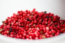 A bowl of lingonberries — Stock Photo