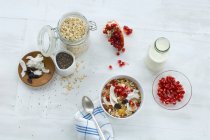 Muesli with milk, oats, cereals, chia seeds, pomegranate seeds, grated coconut and cranberries — Stock Photo