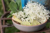 Ingredientes para xarope de sabugueiro: flores de sabugueiro, limas, hortelã e gengibre — Fotografia de Stock
