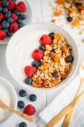 Homemade granola with fresh berries and Greek yoghurt — Stock Photo