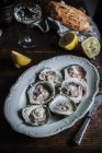 Fresh oysters with lemons and bread — Stock Photo