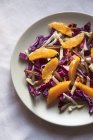 Сырой и здоровый зимний салат из красной капусты, белой капусты, фиников, апельсина, апельсина — стоковое фото