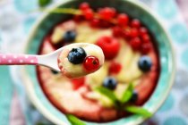 Custard with fresh fruits and fruit syrup on a spoon over a bowl — Stock Photo
