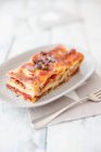 Porzione di lasagne vista da vicino — Foto stock