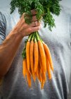 Homme tenant un bouquet de carottes fraîches — Photo de stock
