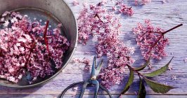 Arreglo de flores de saúco rosadas en sartén y sobre superficie de madera con tijeras - foto de stock