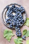Blue grapes on round metal tray with green leaves — Stock Photo
