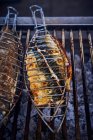 Mackerels in a fish grill plate over a grill — Stock Photo