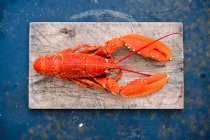Cooked lobster on chopping board — Stock Photo
