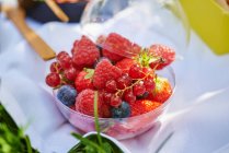 Свежие ягоды в пластиковой чашке — стоковое фото