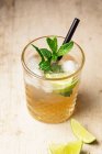 Cocktail com gim, ginger ale e hortelã — Fotografia de Stock